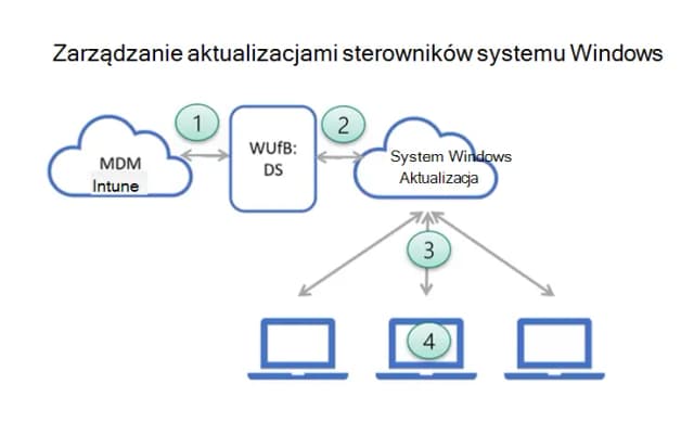 Jak zaktualizować Windows i uniknąć problemów z aktualizacjami Jak zaktualizować Windows i uniknąć problemów z aktualizacjami